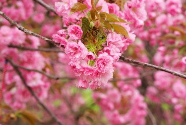 宁波北仑区1线下个人借款平台一站式服务，轻松解决资金难题