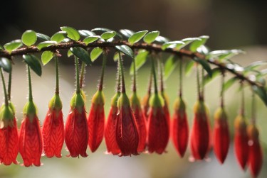 宁波北仑区1零用贷短借：轻松解决临时资金需求